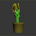 Potted Yellow Sunflower With Sad Face And Green Stem In Yellow Pot