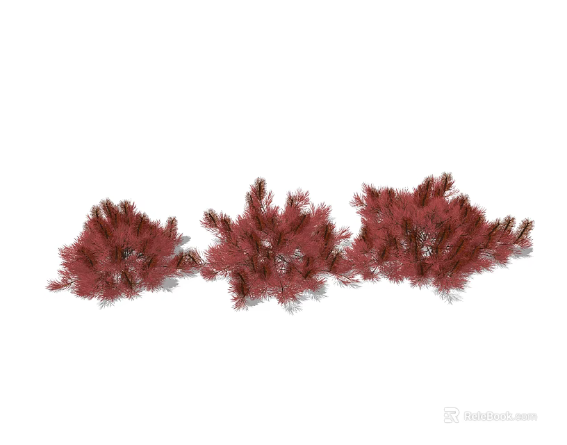 Vibrant Red Ornamental Shrubs Three Clumps With Lush Foliage For Landscaping 3d model 