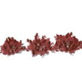 Vibrant Red Ornamental Shrubs Three Clumps With Lush Foliage For Landscaping