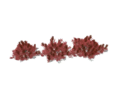 Modern shrubs 3d model