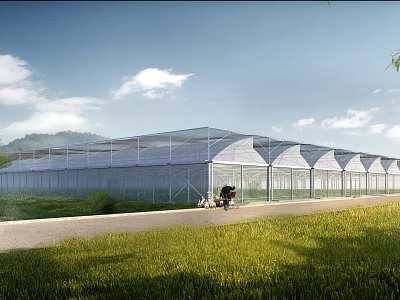 Large Transparent Sunshade Structure For Agricultural Use With Green Grass And Roadside 3d model