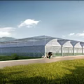 Large Transparent Sunshade Structure For Agricultural Use With Green Grass And Roadside