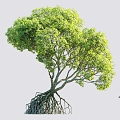 The Modern Tree 3d model