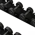 Sports Equipment Black Dumbbell Rack With Organized Dumbbells For Gym Training