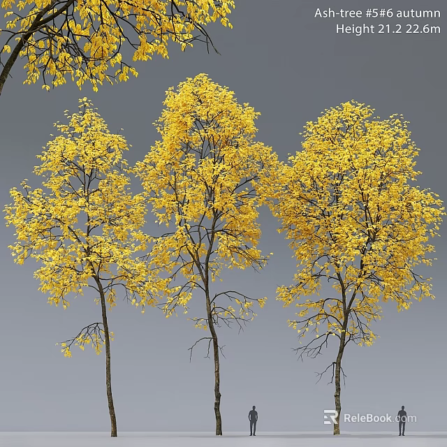 Four Yellow Leaf Trees as Garden Ornaments with Gray Background 3d model