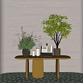 Elegant Modern Console Table With Potted Plants Books And Decorative Vases 3d model