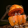 Spooky Halloween Decorative Pumpkin With Green Eyes Seeds And Leaves Around It