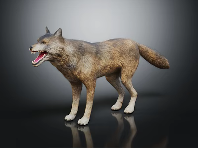 Realistic Wolf Figurine Standing with Mouth Open Detailed Fur Texture on Black Background with Reflection 3d model
