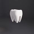 Detailed White 3D Tooth Model Displayed On Dark Background With Realistic Texture 3d model