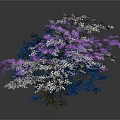 Decorative Plants with Blue Foliage Pink Blossoms and White Snowy Branches