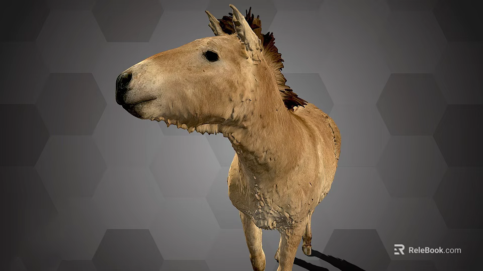 Brown Horse With Shaggy Mane Standing On Gray Hexagonal Background 3d model 