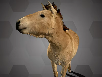 Brown Horse With Shaggy Mane Standing On Gray Hexagonal Background 3d model