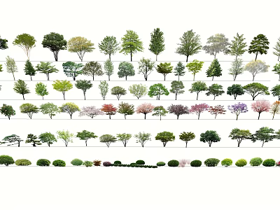 Collection Of Diverse Tree Species Featuring Different Foliage Colors And Shapes 3d model