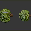 Fresh Ripe Sugar Apples With Green Textured Skin Halved Showing Pulp And Seeds