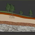 Plants with Green Grass Small Trees and Root System in Soil Profile Layers 3d model