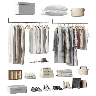 Neutral Colored Clothes In Tidy Wardrobe With Storage Items 3d model Neutral Colored Clothes In Tidy Wardrobe With Storage Items 3d model