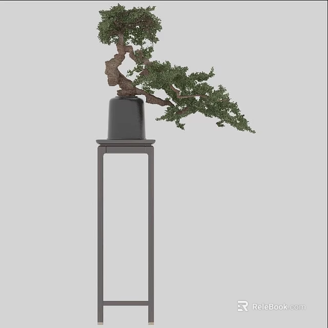 Artistic Bonsai Potted Plant With Curved Trunk And Green Foliage On Black Pot Metal Stand 3d model 