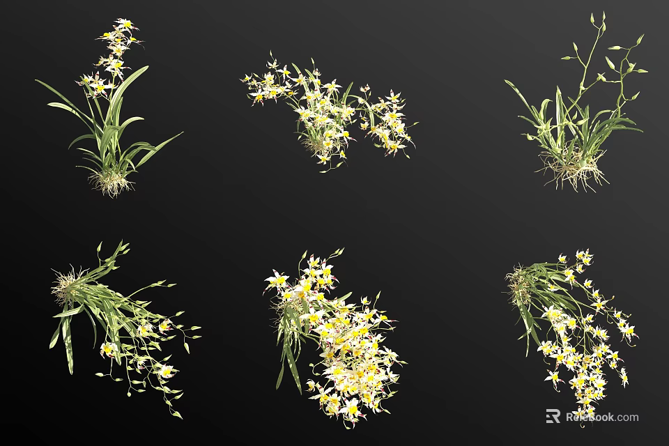 Small Yellow Flowering Plants With Delicate Blooms And Vibrant Green Leaves 3d model 