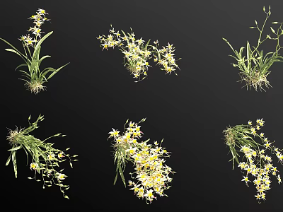Small Yellow Flowering Plants With Delicate Blooms And Vibrant Green Leaves 3d model