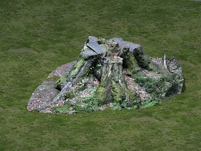 Natural Stone and Wood Tree Stump in Lush Green Grass with Mossy Details 3d model