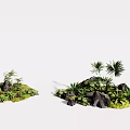 Natural Lush Green Plant Displays With Diverse Foliage And Decorative Rocks