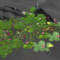 Aquatic Plants Growing on Water Surface with Lily Pads and Pink Flowers Surrounding Rock