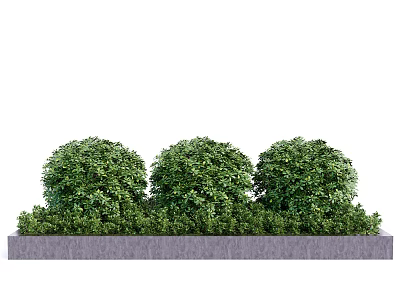 Three Round Shrubs with Low Growing Plants in Gray Stone Planter 3d model