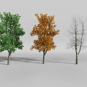 plant four seasons landscape tree spring summer autumn winter 3d model