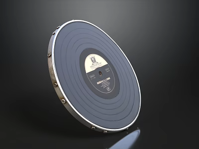 Round Silver Trimmed Vinyl Record With Central Label On Dark Background 3d model
