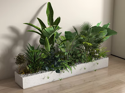 Bonsai Potted Plants in Rectangular White Concrete Planter with Lush Mixed Green Foliage Indoor 3d model