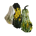 Fresh Decorative Gourds Vegetables With Various Colors Unique Shapes Isolated On White