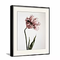 Three Framed Botanical Paintings with Pink Flowers and Green Leaves on Gray Wall