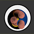Black Electric Cable With Colored Inner Wires And Protective Outer Sheath