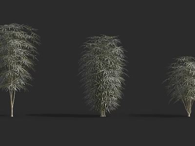 Different Bush Varieties With Green Foliage And Various Shapes For Garden Landscaping 3d model