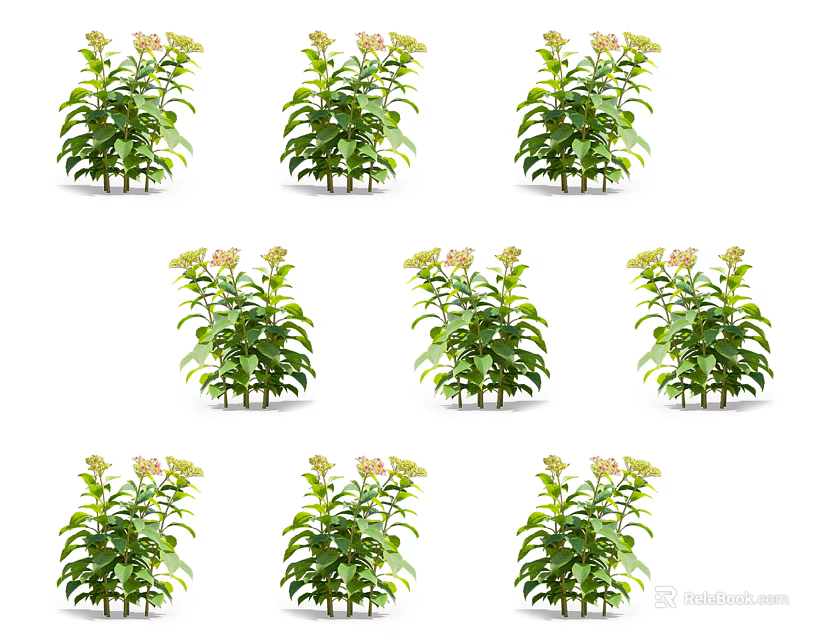 Potted Green Plants With Lush Leaves And Yellow Blooms Arranged In Three By Three Matrix 3d model 