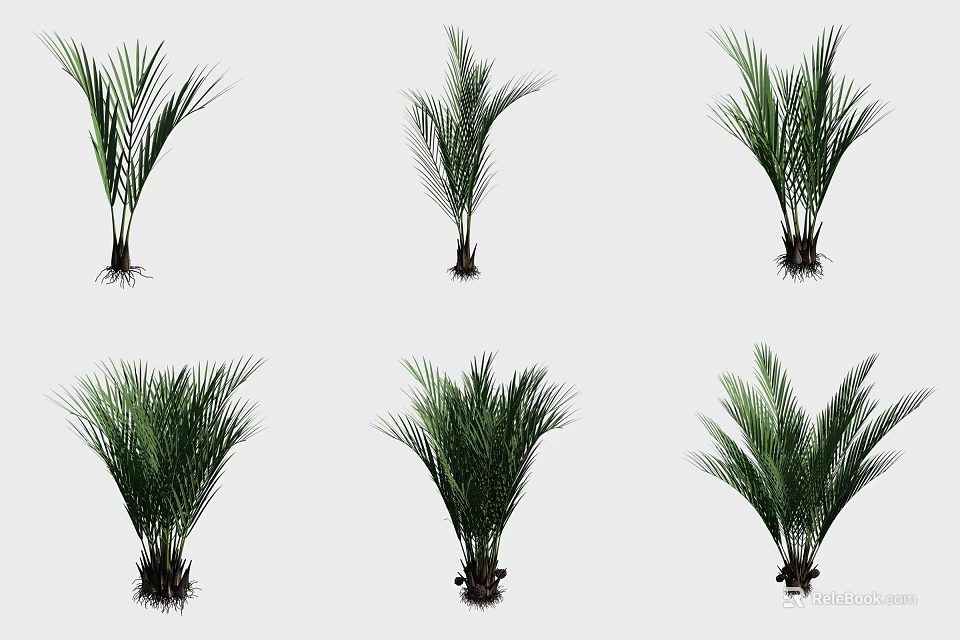 Different Types of Decorative Shrubs with Green Foliage for Garden Landscaping Design 3d model 