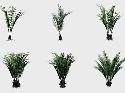 Different Types of Decorative Shrubs with Green Foliage for Garden Landscaping Design 3d model