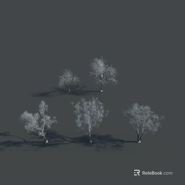 Five Leafless Trees with Slender Trunks Bare Branches on Dark Background and Base Shadows 3d model 