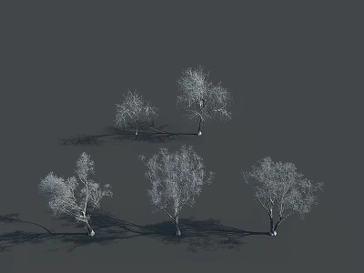 Five Leafless Trees with Slender Trunks Bare Branches on Dark Background and Base Shadows 3d model