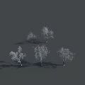 Five Leafless Trees with Slender Trunks Bare Branches on Dark Background and Base Shadows