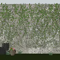 Lush Green Climbing Vines Covering Exterior Stone Wall With Lawn And Clay Pot