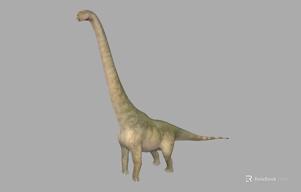 Realistic Long Neck Dinosaur 3D Model With Greenish Skin And Gray Background 3d model 