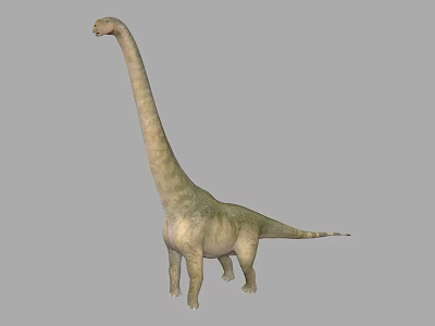 Realistic Long Neck Dinosaur 3D Model With Greenish Skin And Gray Background 3d model