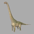 Realistic Long Neck Dinosaur 3D Model With Greenish Skin And Gray Background