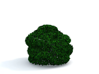 Lush Green Round Shaped Shrub With Dense Foliage And Neatly Trimmed Appearance 3d model