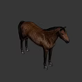Detailed Brown Horse Standing Against Light Blue Background In 3D Rendering