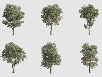 Leaf-changing pagoda tree landscape tree 3d model