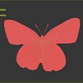 Yellow and White Butterfly with Spotted Wings and Reflection on Dark Background