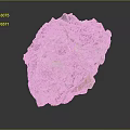 Natural Stone And Wooden Decor Piece With Porous Rough Texture