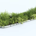 Lush Green Shrubs With Various Leaf Shapes Planted In Stone Border 3d model